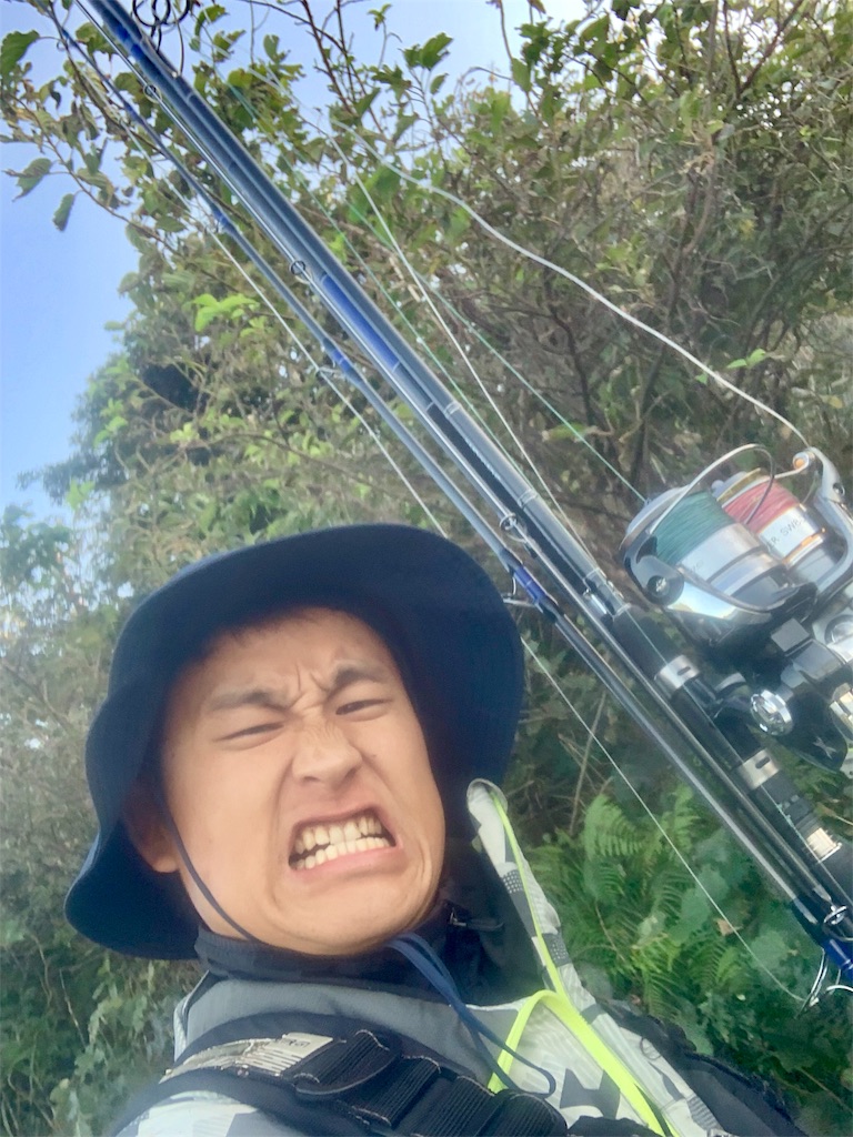 f:id:k_u_r_a_g_e_n:20191119200732j:image