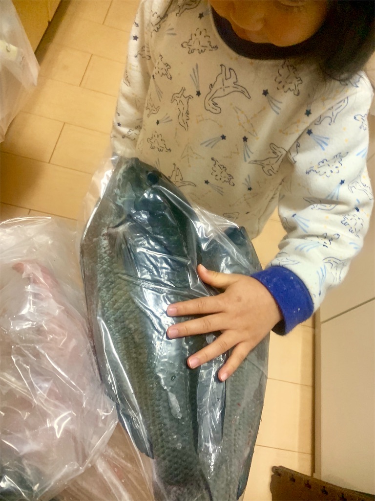 f:id:k_u_r_a_g_e_n:20191202081421j:image