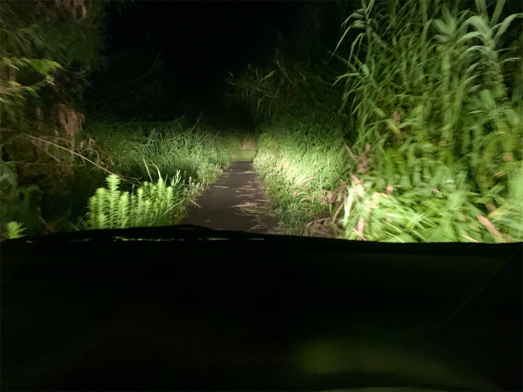 f:id:k_u_r_a_g_e_n:20200902172607j:image