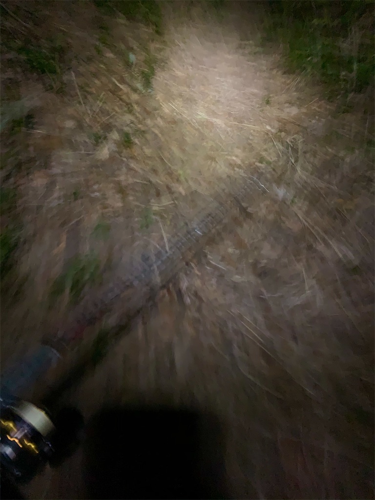 f:id:k_u_r_a_g_e_n:20201203082614j:image f:id:k_u_r_a_g_e_n:20201203082614j:image
