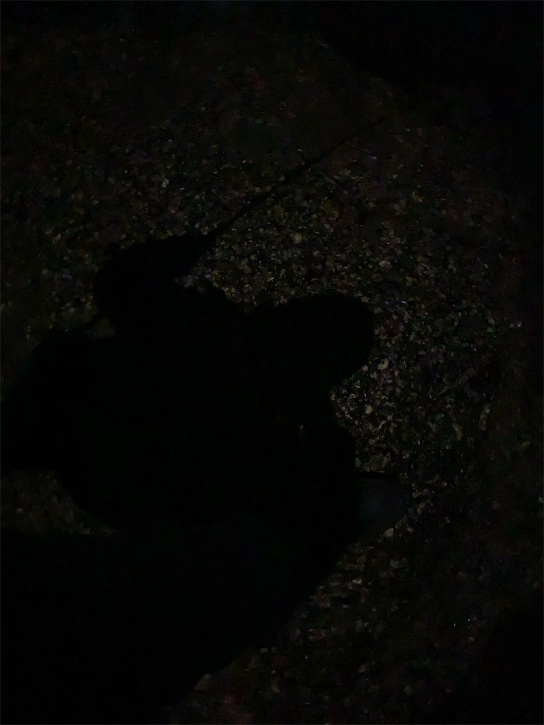 f:id:k_u_r_a_g_e_n:20201203084041j:image f:id:k_u_r_a_g_e_n:20201203084041j:image