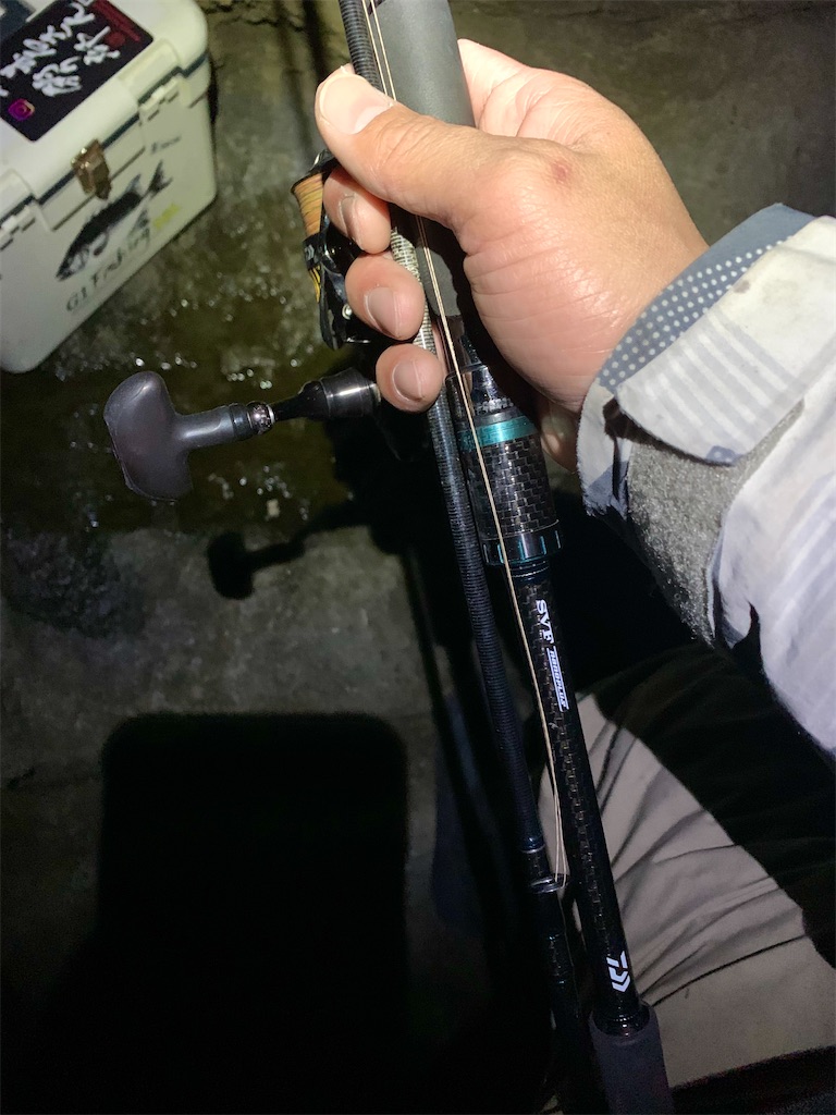 一杯のアオリを求めて 久しぶりの闇夜エギング 佐世保バカ釣りブログ