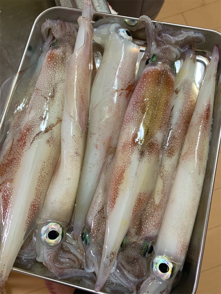 悲報 ヤリ全滅 佐世保バカ釣りブログ 悲報 ヤリ全滅 佐世保バカ釣りブログ