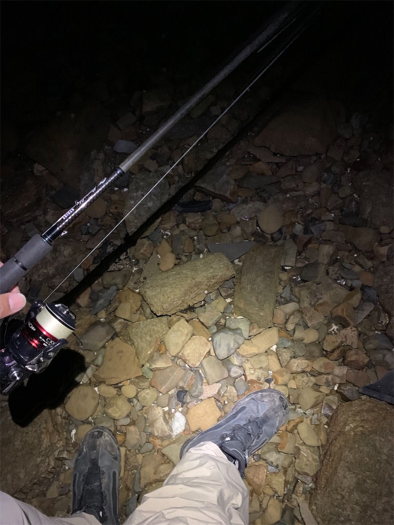 ちょろっとエギング 藻場調査と青島の かむかむぼーの 佐世保バカ釣りブログ ちょろっとエギング 藻場調査と青島の かむかむぼーの 佐世保バカ釣りブログ