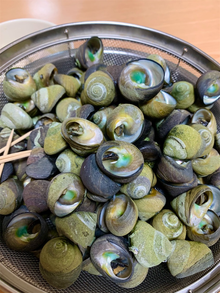 ニナ貝の佃煮 佐世保バカ釣りブログ ニナ貝の佃煮 佐世保バカ釣りブログ