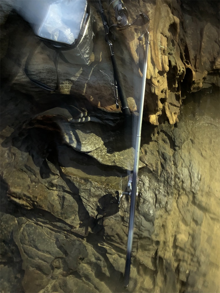 f:id:k_u_r_a_g_e_n:20220524095617j:image f:id:k_u_r_a_g_e_n:20220524095617j:image