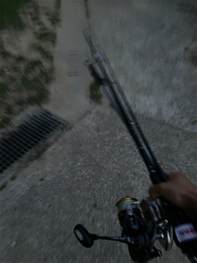 f:id:k_u_r_a_g_e_n:20220524095621j:image f:id:k_u_r_a_g_e_n:20220524095621j:image