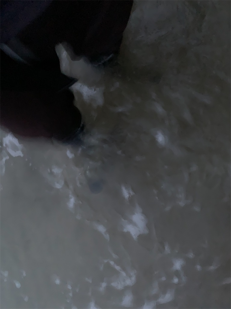 f:id:k_u_r_a_g_e_n:20220524095633j:image f:id:k_u_r_a_g_e_n:20220524095633j:image