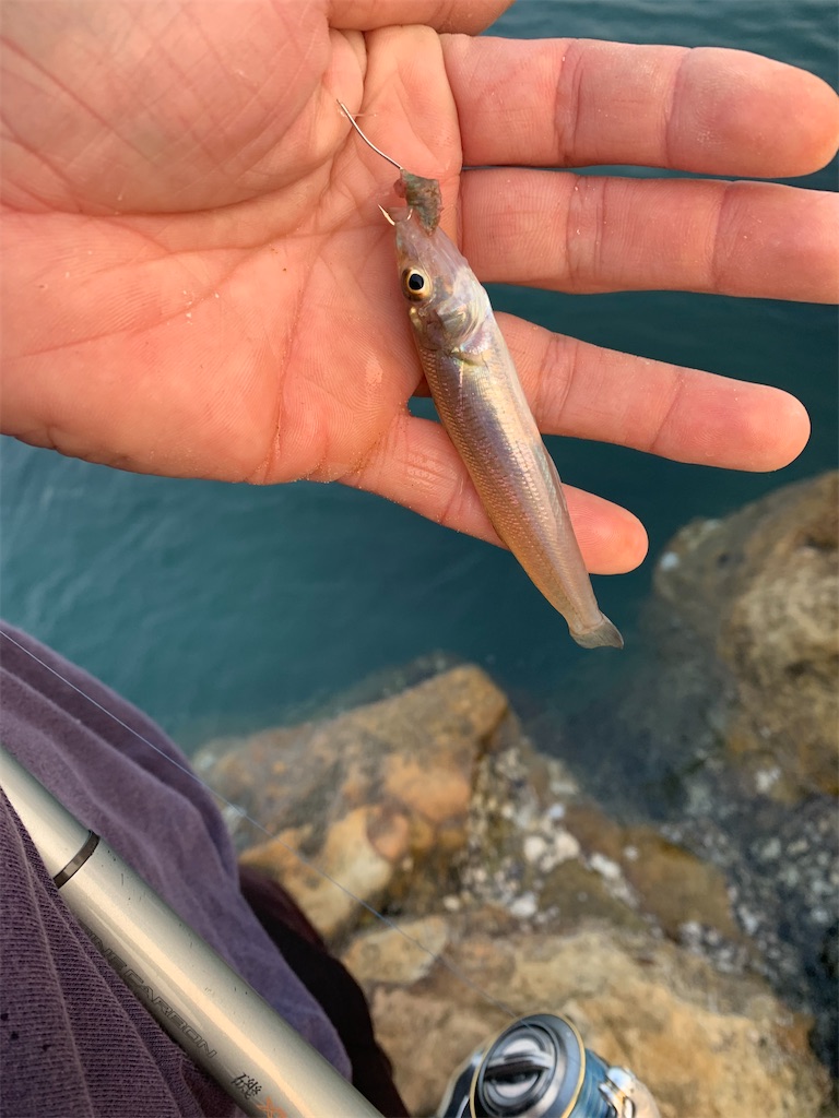 f:id:k_u_r_a_g_e_n:20220524095648j:image f:id:k_u_r_a_g_e_n:20220524095648j:image