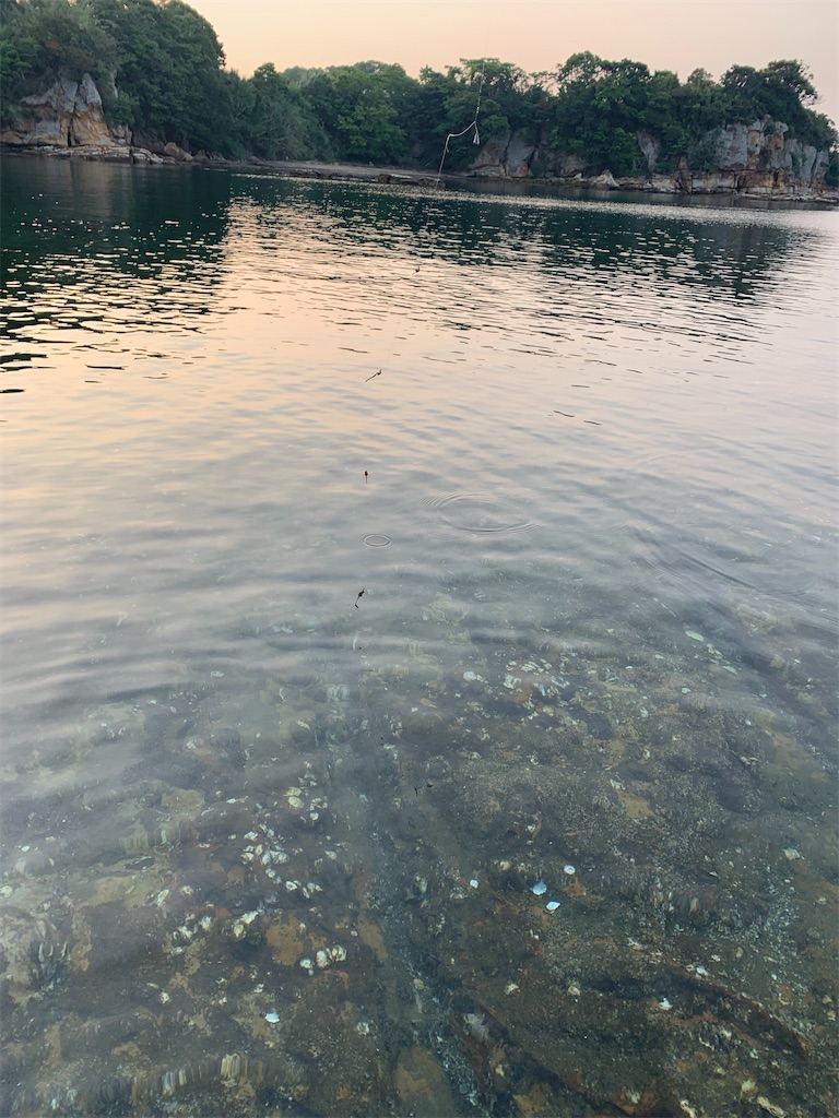 f:id:k_u_r_a_g_e_n:20220524095654j:image f:id:k_u_r_a_g_e_n:20220524095654j:image