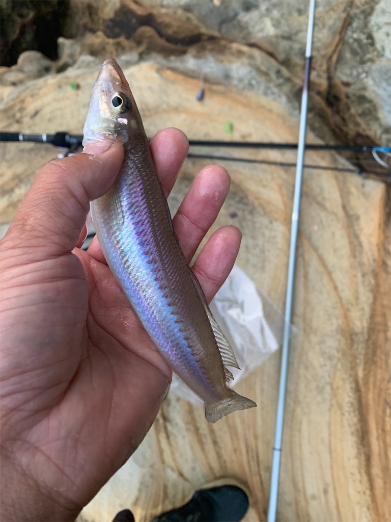 f:id:k_u_r_a_g_e_n:20220524095706j:image f:id:k_u_r_a_g_e_n:20220524095706j:image