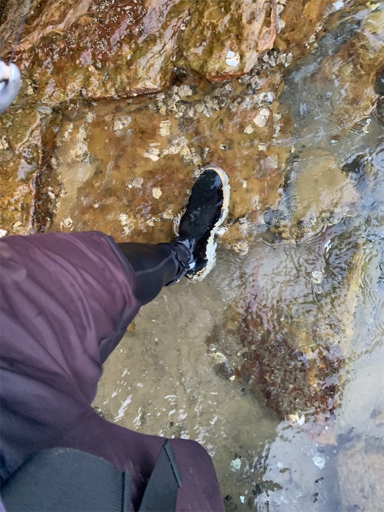 f:id:k_u_r_a_g_e_n:20220524095713j:image f:id:k_u_r_a_g_e_n:20220524095713j:image