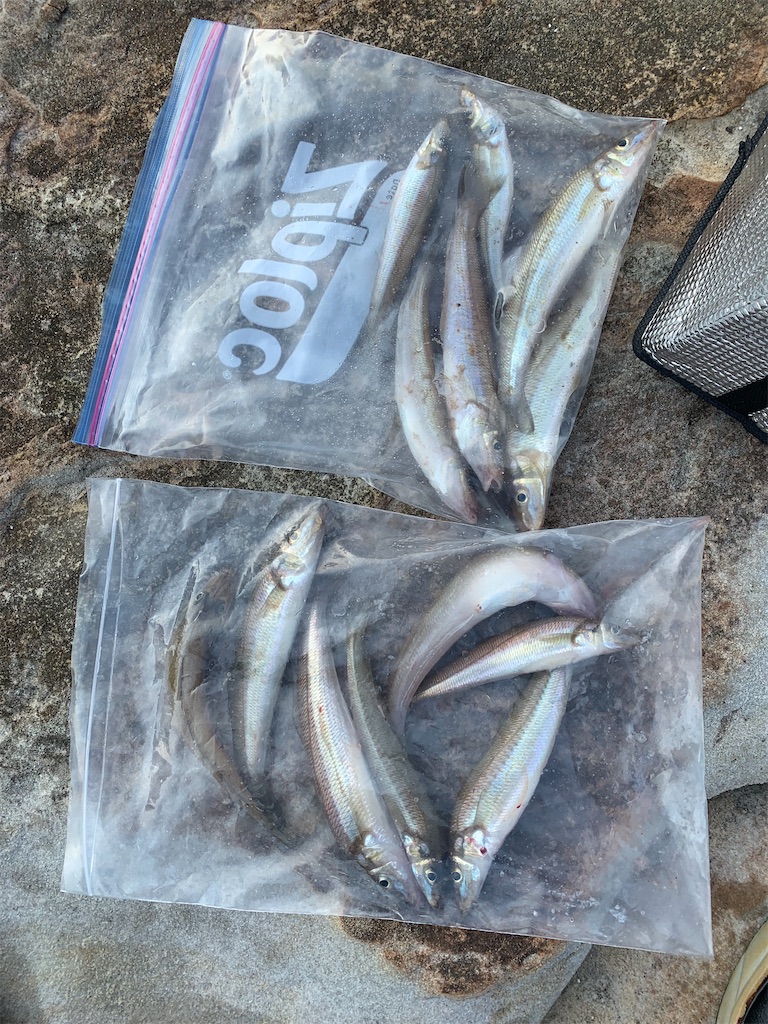 f:id:k_u_r_a_g_e_n:20220524095720j:image f:id:k_u_r_a_g_e_n:20220524095720j:image