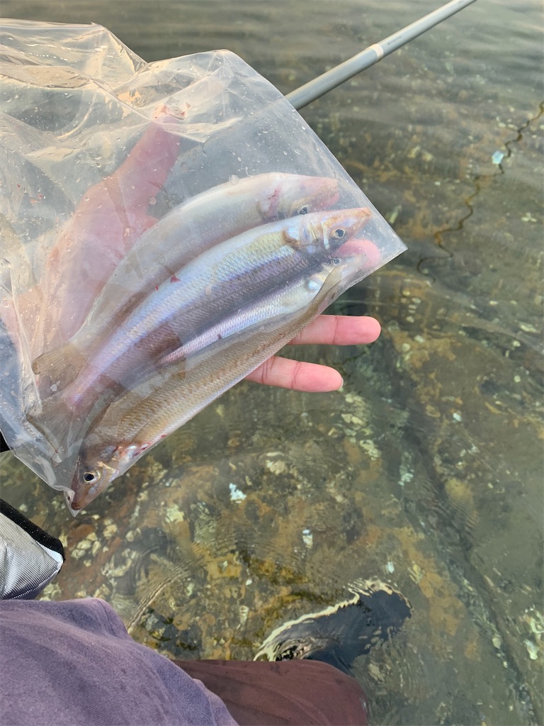 f:id:k_u_r_a_g_e_n:20220524095734j:image f:id:k_u_r_a_g_e_n:20220524095734j:image