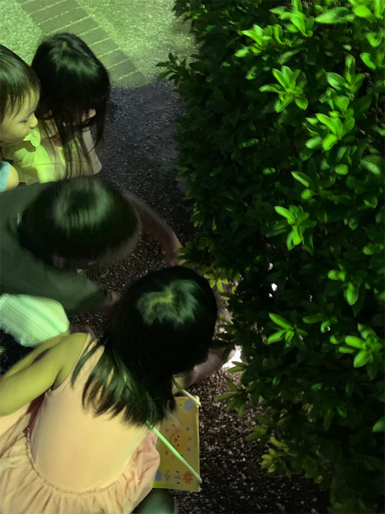 f:id:k_u_r_a_g_e_n:20220807231321j:image