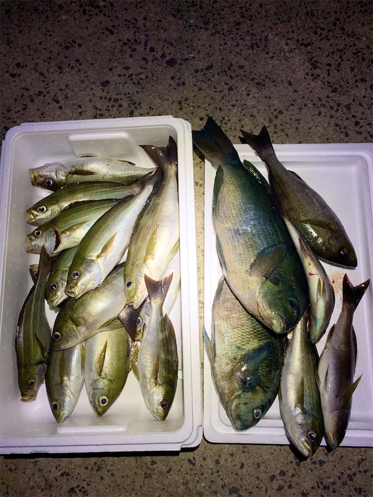 f:id:k_u_r_a_g_e_n:20230708095131j:image f:id:k_u_r_a_g_e_n:20230708095131j:image