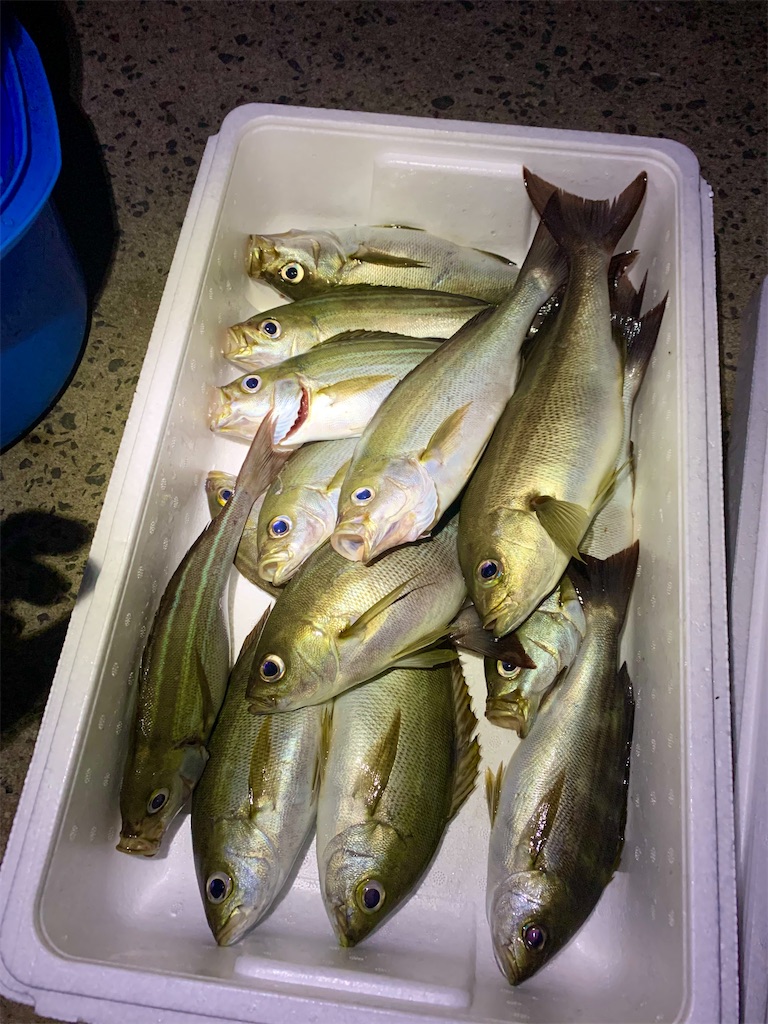 f:id:k_u_r_a_g_e_n:20230708095140j:image f:id:k_u_r_a_g_e_n:20230708095140j:image