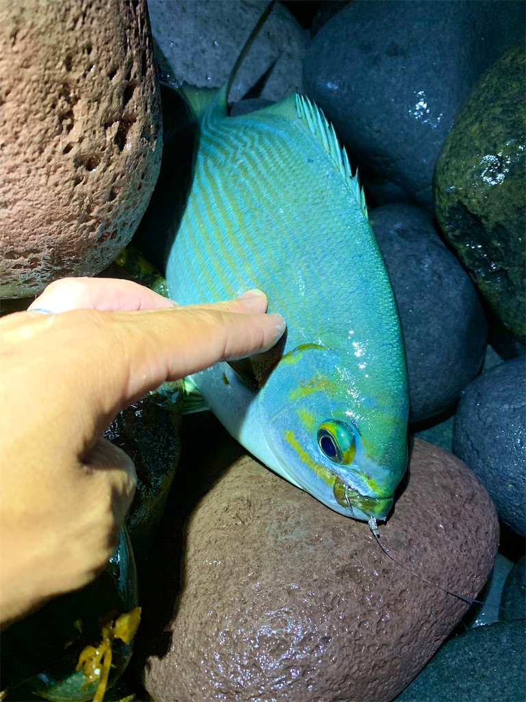 f:id:k_u_r_a_g_e_n:20230708095144j:image f:id:k_u_r_a_g_e_n:20230708095144j:image