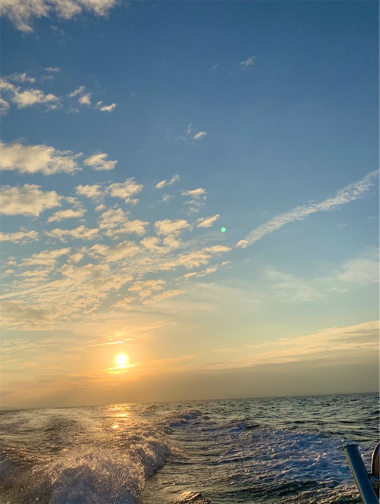 f:id:k_u_r_a_g_e_n:20241119124907j:image