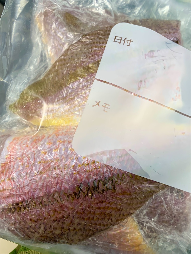f:id:k_u_r_a_g_e_n:20241123112936j:image