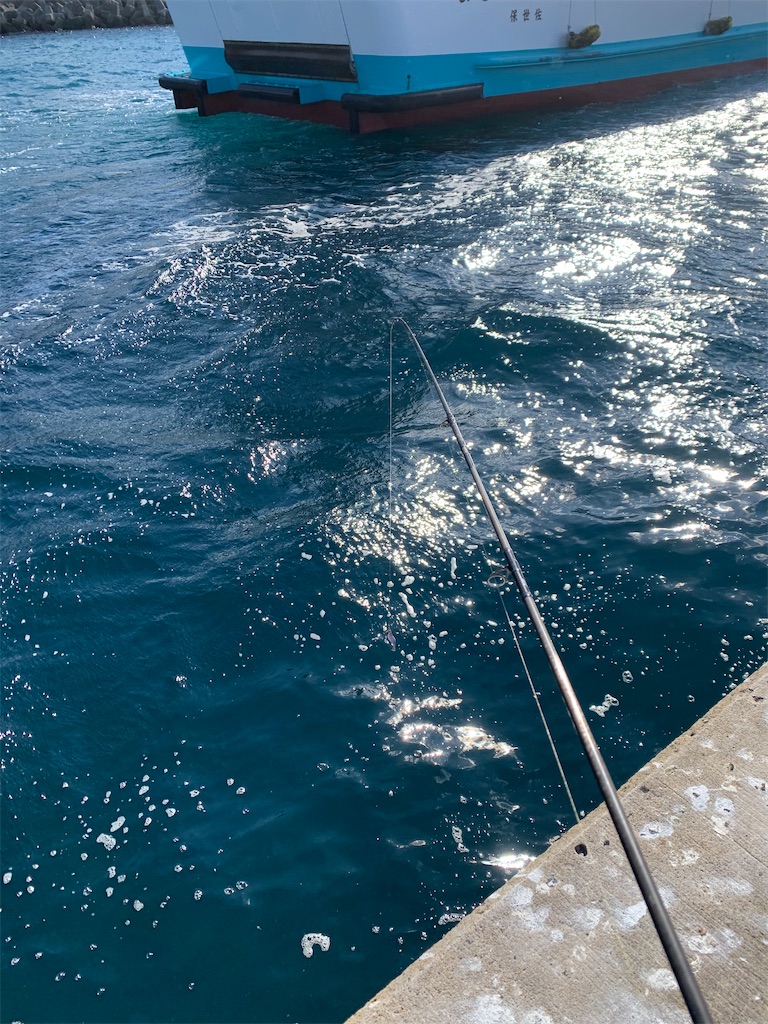 f:id:k_u_r_a_g_e_n:20241213211623j:image