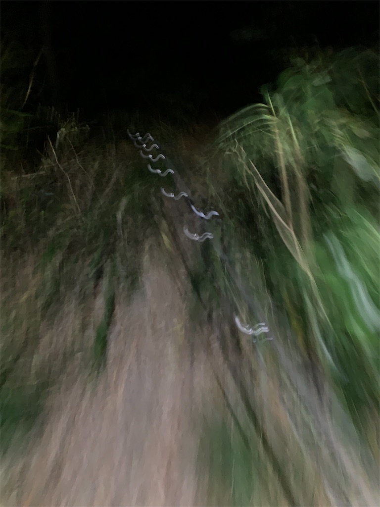 f:id:k_u_r_a_g_e_n:20241216215424j:image