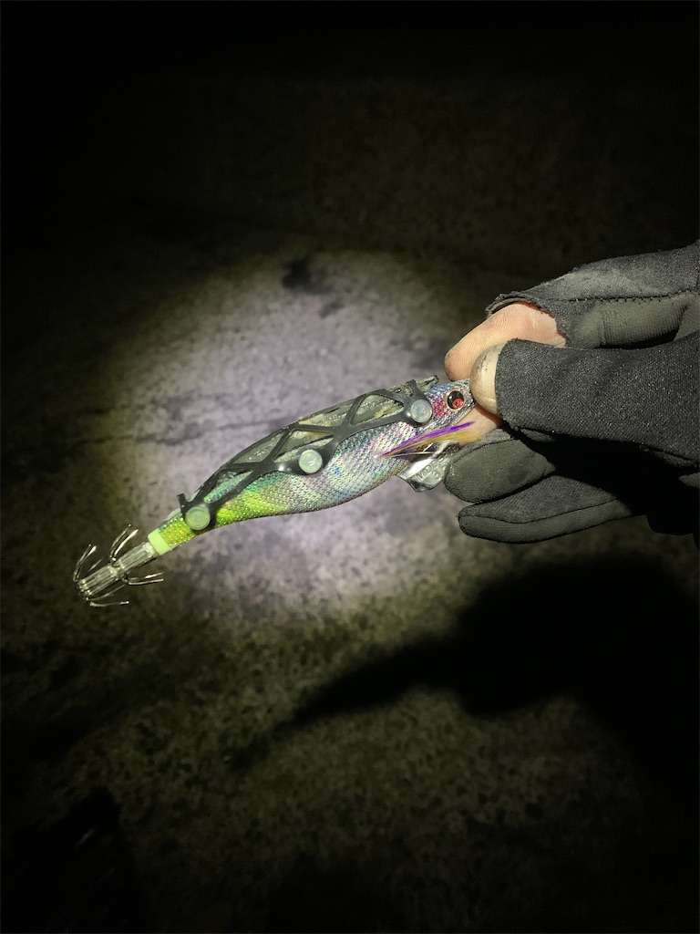 f:id:k_u_r_a_g_e_n:20250210165314j:image