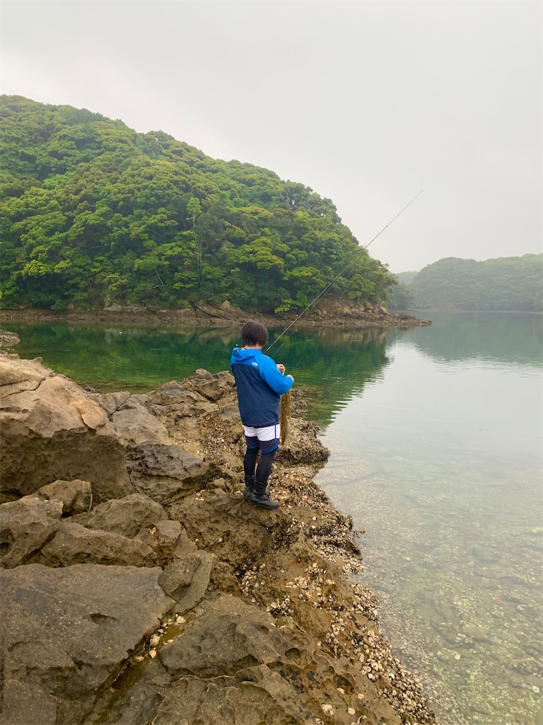 f:id:k_u_r_a_g_e_n:20250520111729j:image