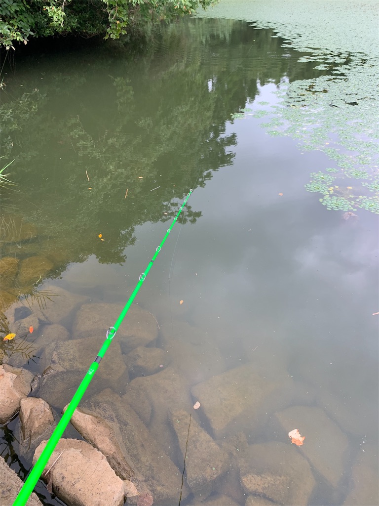 f:id:k_u_r_a_g_e_n:20251005110216j:image f:id:k_u_r_a_g_e_n:20251005110216j:image