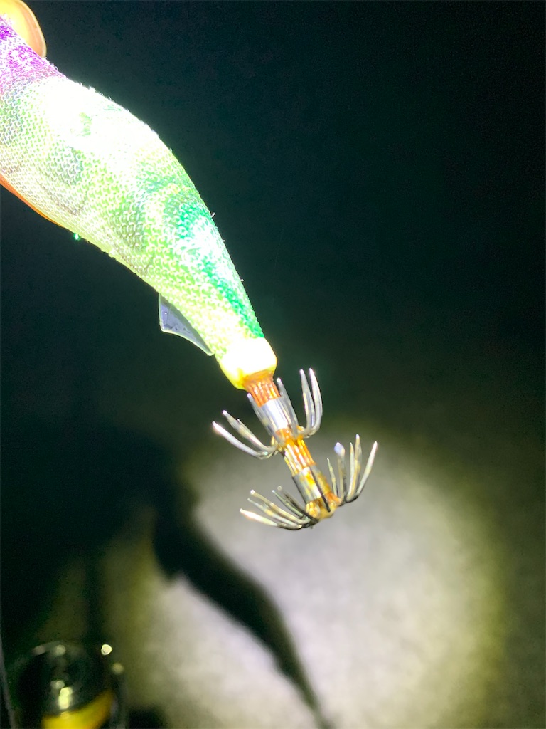 f:id:k_u_r_a_g_e_n:20251018205726j:image f:id:k_u_r_a_g_e_n:20251018205726j:image