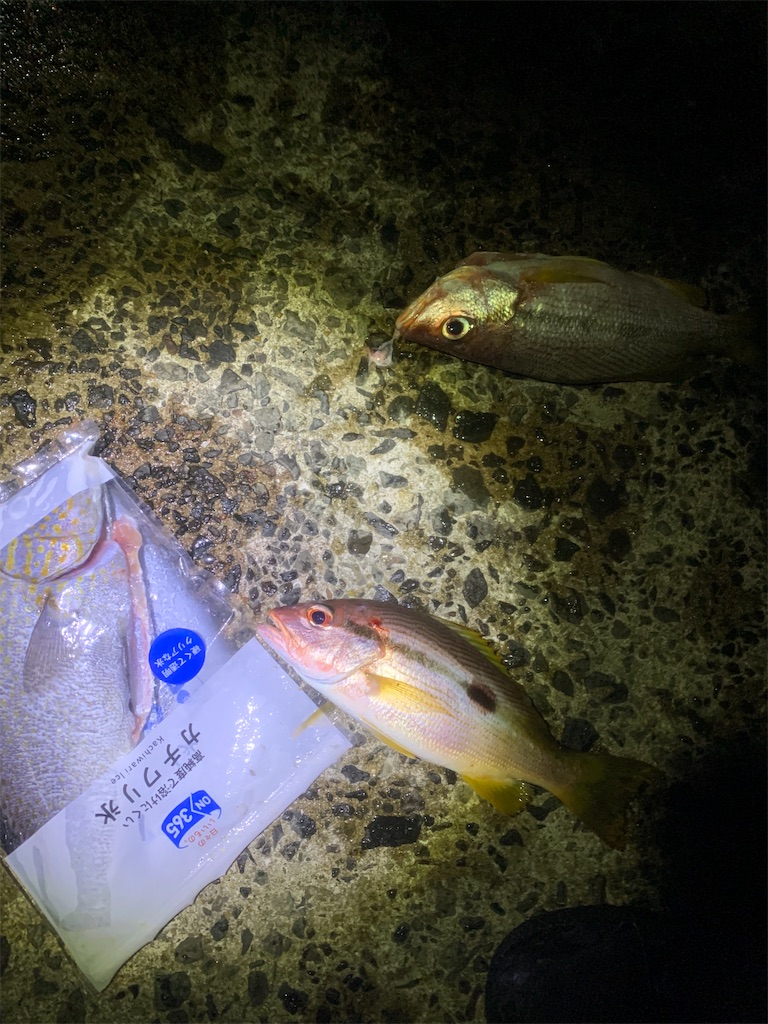 f:id:k_u_r_a_g_e_n:20251018210331j:image f:id:k_u_r_a_g_e_n:20251018210331j:image