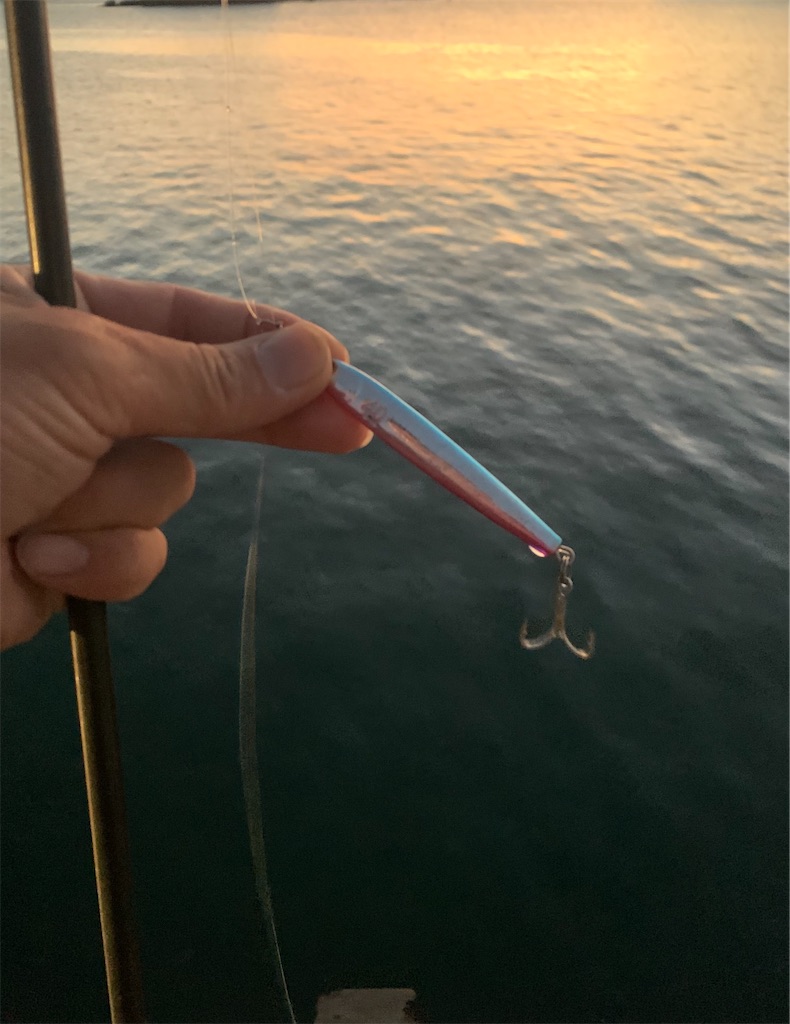 f:id:k_u_r_a_g_e_n:20251027115503j:image