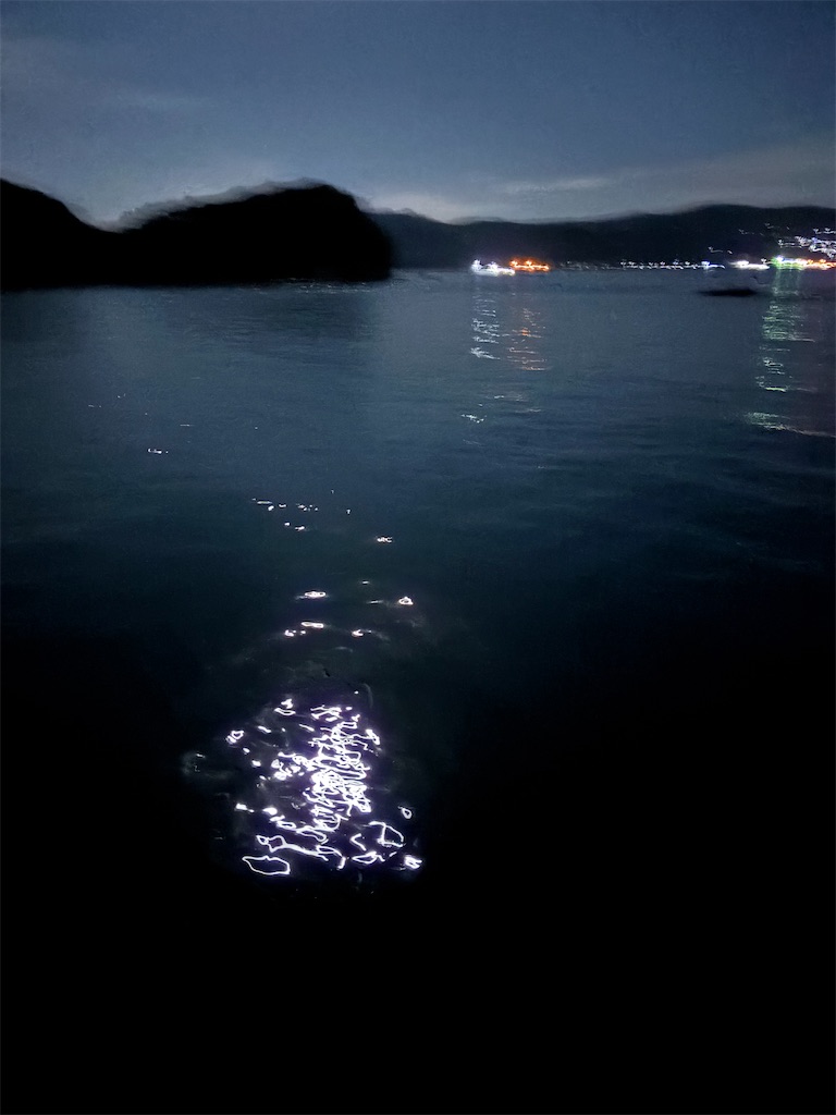 f:id:k_u_r_a_g_e_n:20260207174147j:image f:id:k_u_r_a_g_e_n:20260207174147j:image