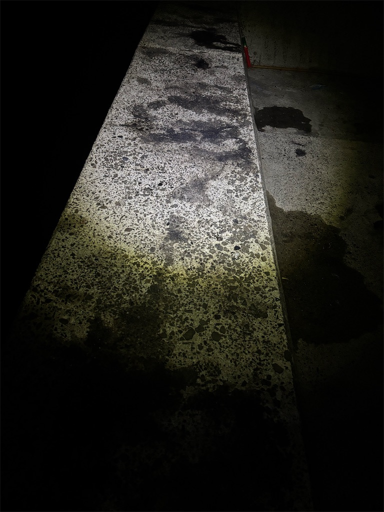 f:id:k_u_r_a_g_e_n:20260220134050j:image f:id:k_u_r_a_g_e_n:20260220134050j:image