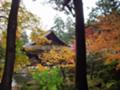 [京都][紅葉]南禅寺