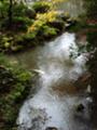 [京都][紅葉]南禅寺