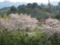 [飛鳥]国営飛鳥歴史公園