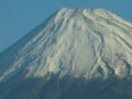 [静岡][富士山]新幹線の車窓から