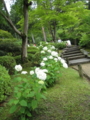 [宇治]三室戸寺