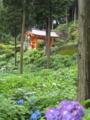 [宇治]三室戸寺