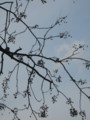 [天王寺公園]