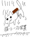 二階から