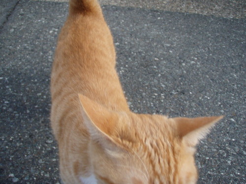 20080818175008