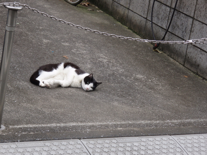 20110616071333