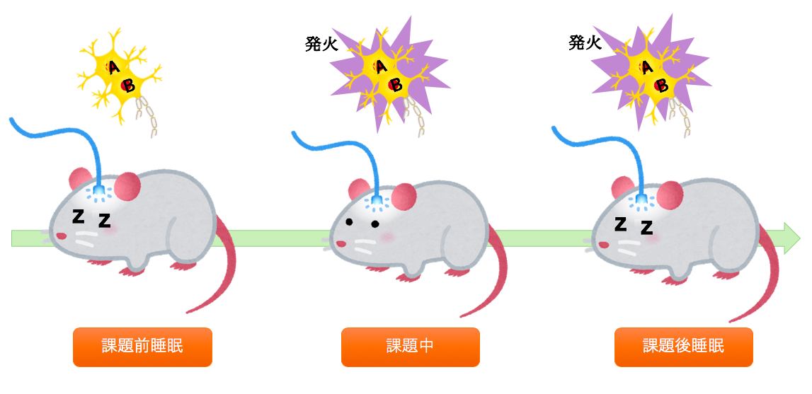 f:id:k_yuukix:20190929020846p:plain
