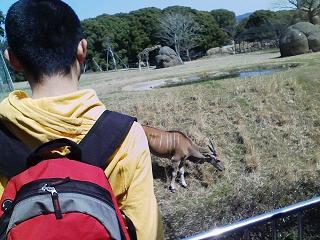 f:id:ka-gu:20110325110813j:image f:id:ka-gu:20110325110813j:image