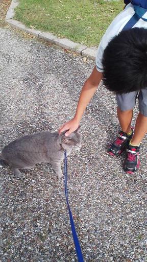 f:id:ka-gu:20110917080507j:image:w360 f:id:ka-gu:20110917080507j:image:w360