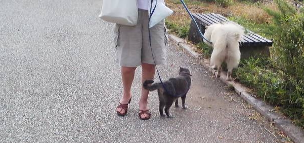 f:id:ka-gu:20110917182558j:image:w360 f:id:ka-gu:20110917182558j:image:w360