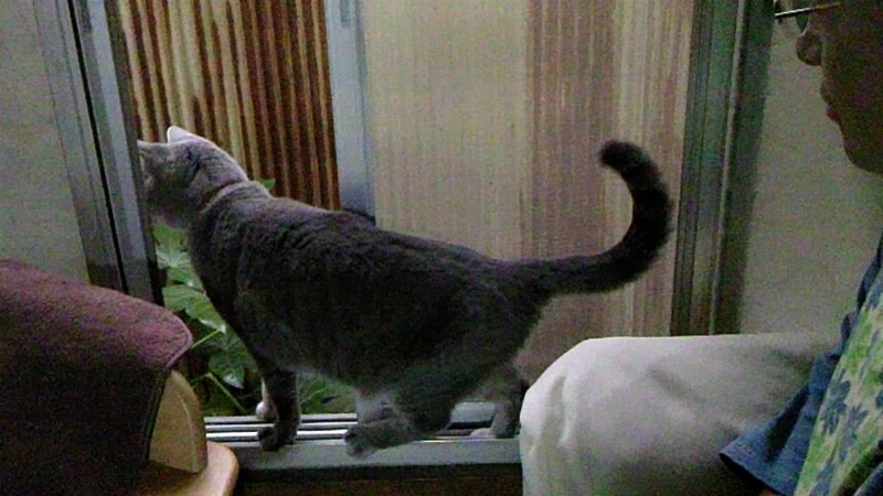 f:id:ka-gu:20110926091049j:image:w360