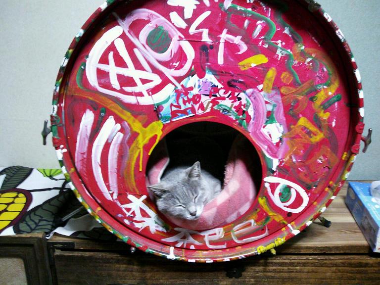 f:id:ka-gu:20130621074435j:image:w360 f:id:ka-gu:20130621074435j:image:w360